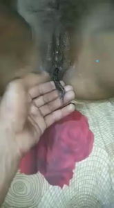Frog In The Pussy