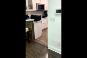 Costume Blowjob
